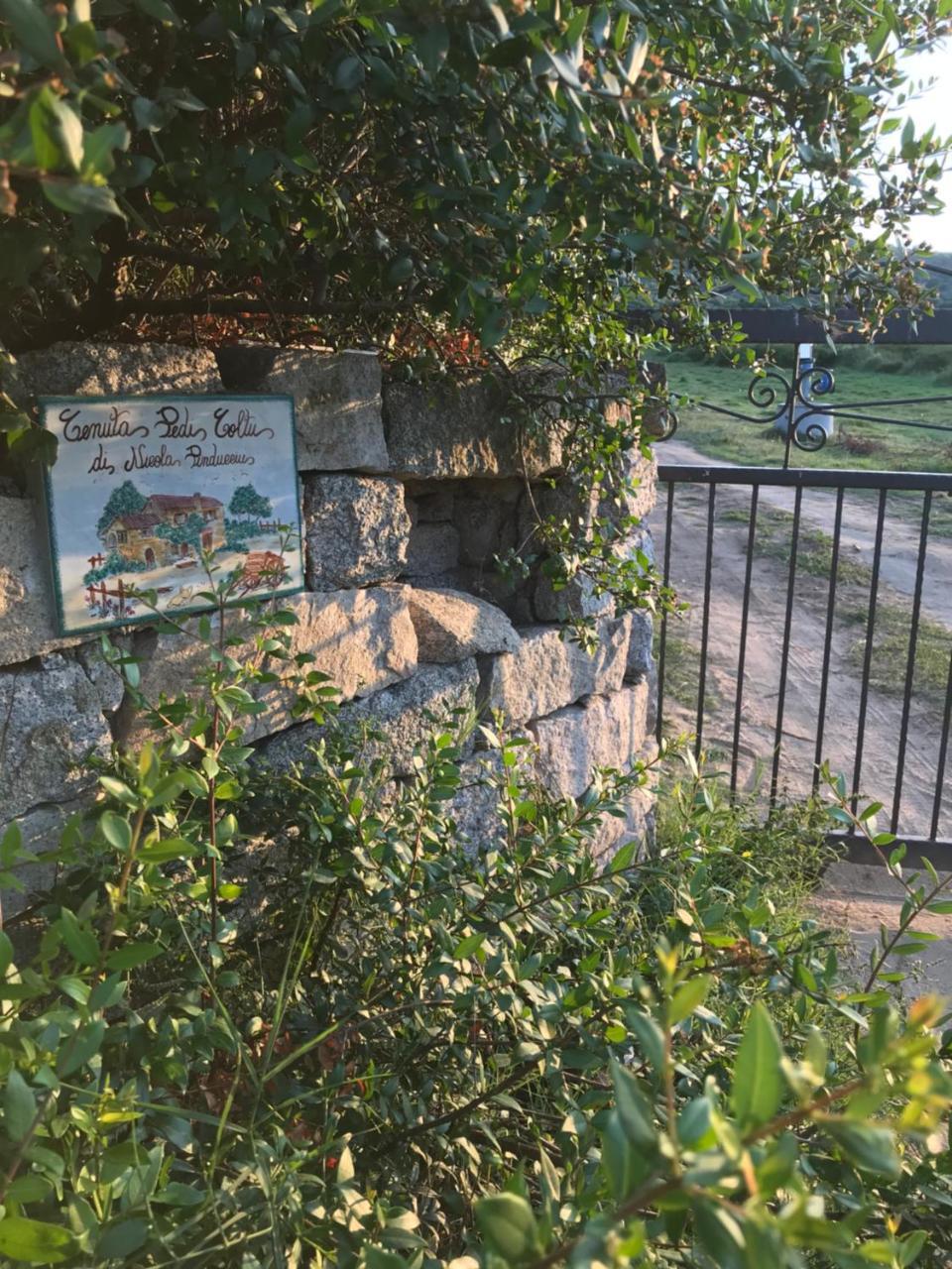 Villa Peditoltu 올비아 외부 사진